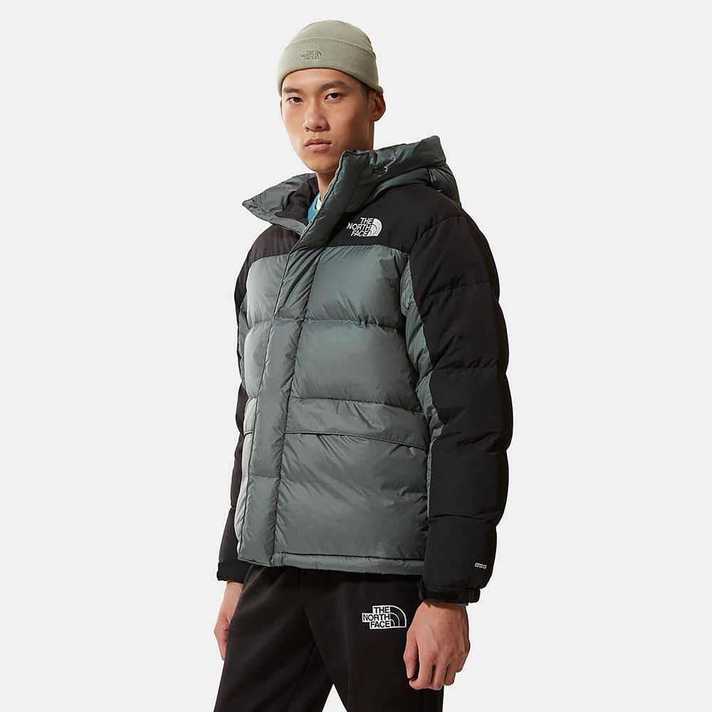 The North Face Puffer Jacket Mens Australia - The North Face Himalayan Green (ZVK-072598)